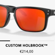 Custom Holbrook 9102
