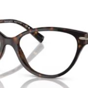 TIFFANY & Co. TF 2231.8015