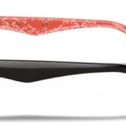 Ray ban ORX 5206.2479
