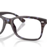 Ray ban ORX 5228.8424
