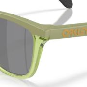 Oakley Frogskins range xl 9503 c.07